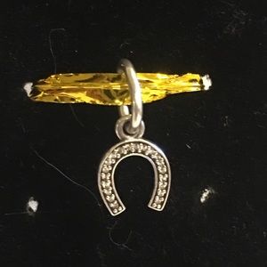 Symbol of Luck Pandora Charm